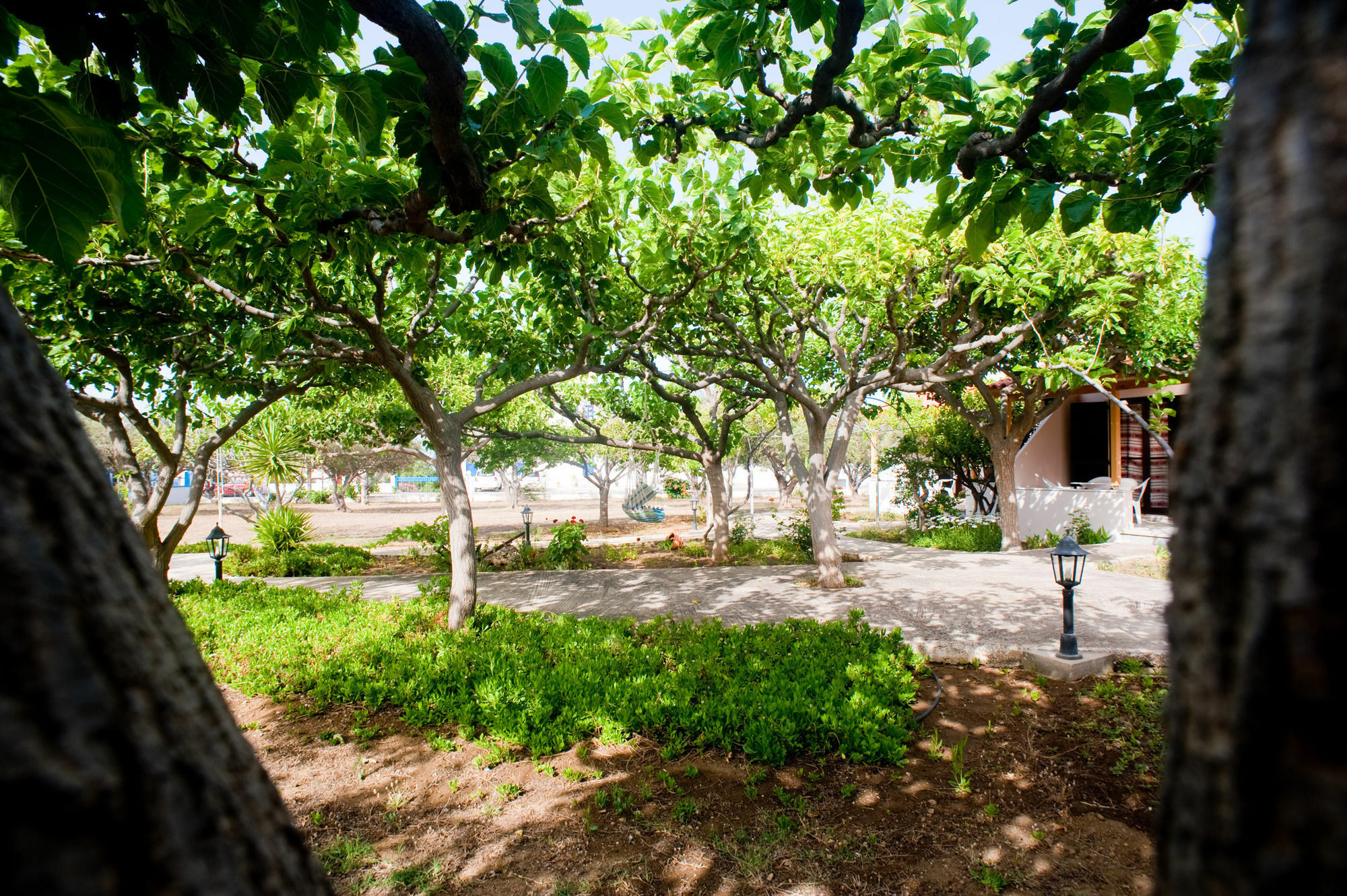 Dolphin Apartments Frangocastelo Ngoại thất bức ảnh