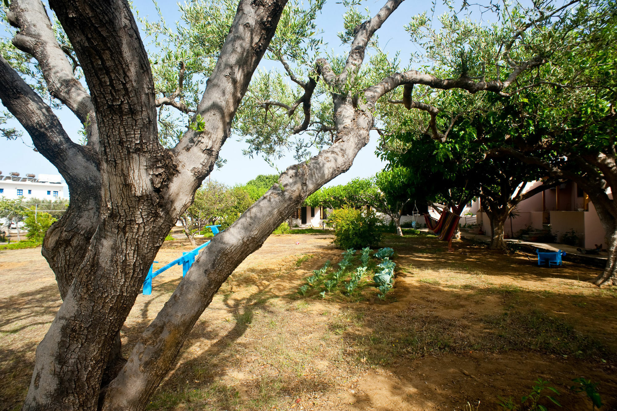 Dolphin Apartments Frangocastelo Ngoại thất bức ảnh