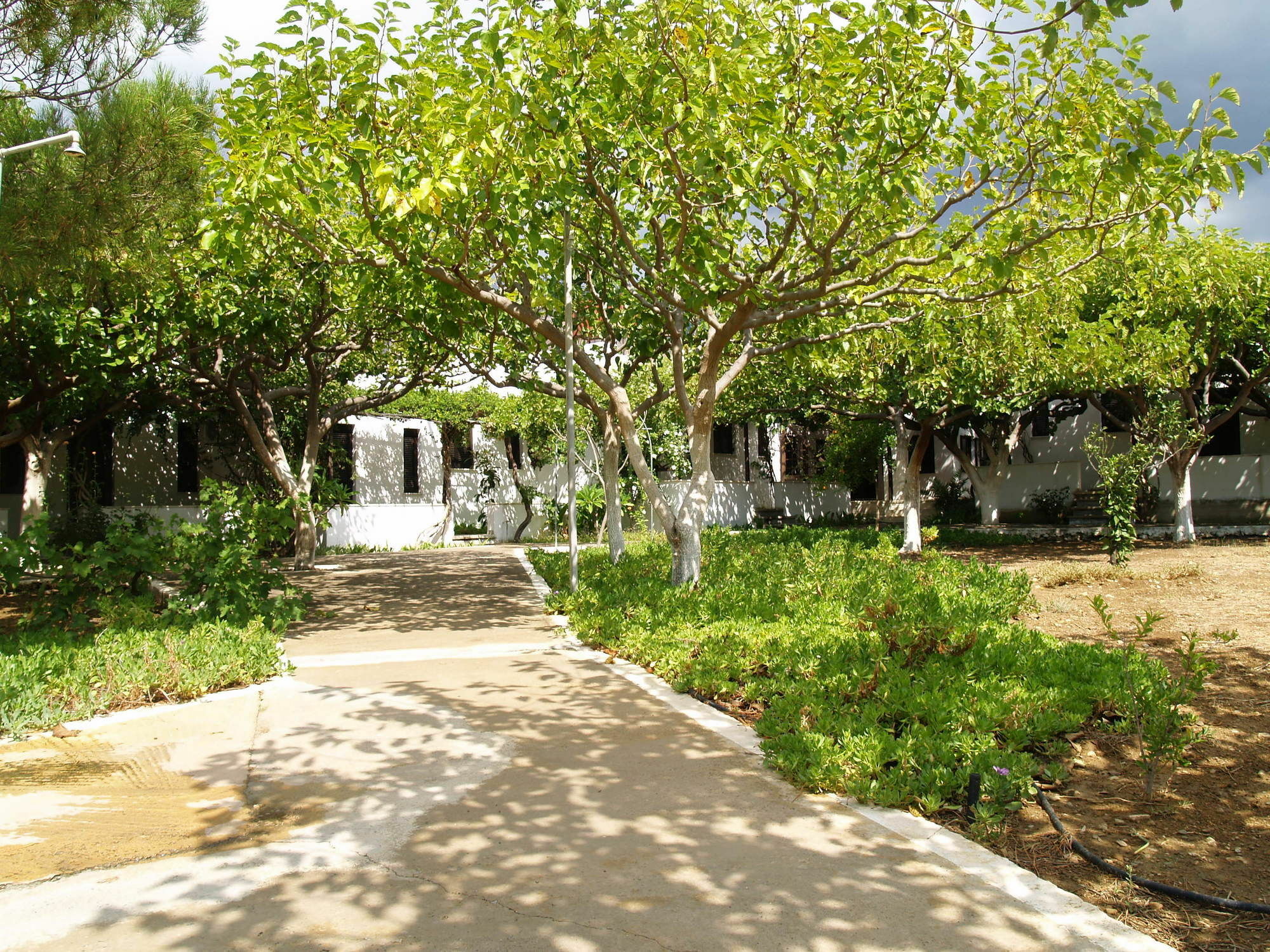 Dolphin Apartments Frangocastelo Ngoại thất bức ảnh